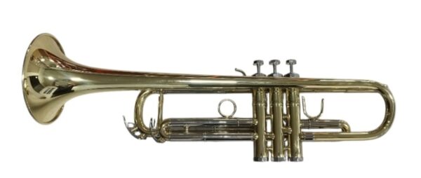 TROMPETA  LTR 5000L LACADA - Imagen 4