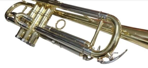 TROMPETA  LTR 5000L LACADA - Imagen 2