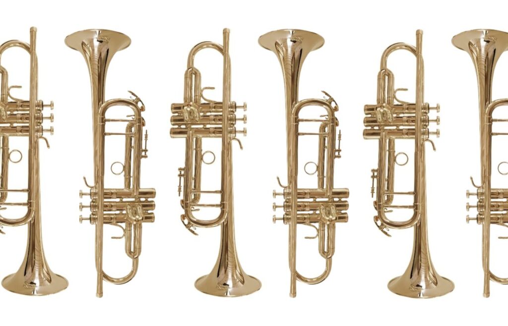 Instrumentos Thomas Martin comprar